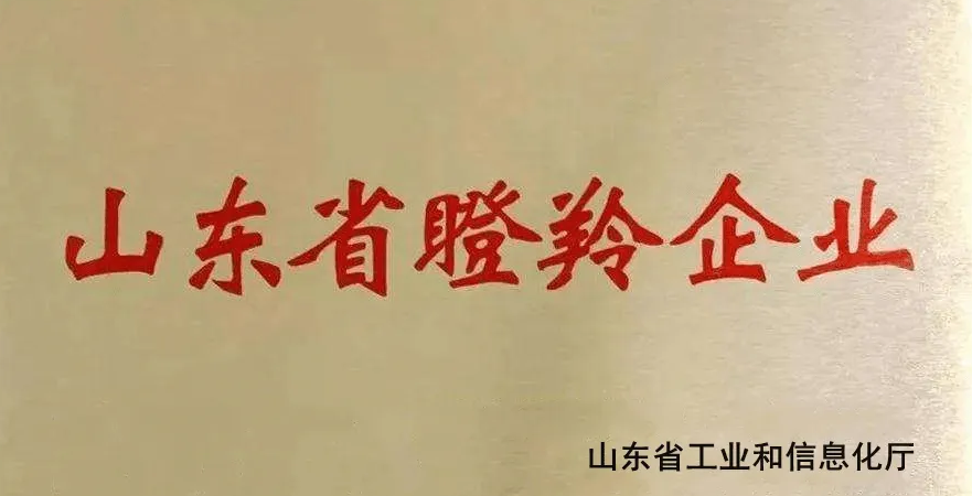 喜报！山东上水入选2022年度省瞪羚企业！