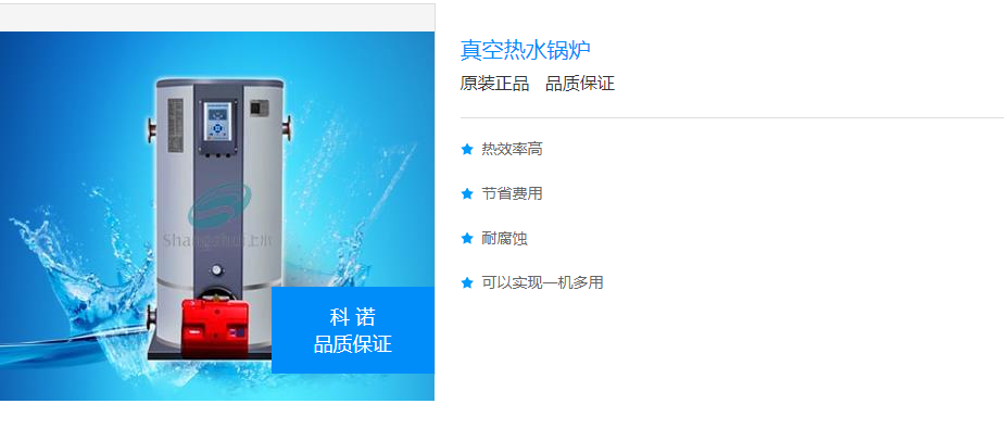 科诺立式热水锅炉(图1)